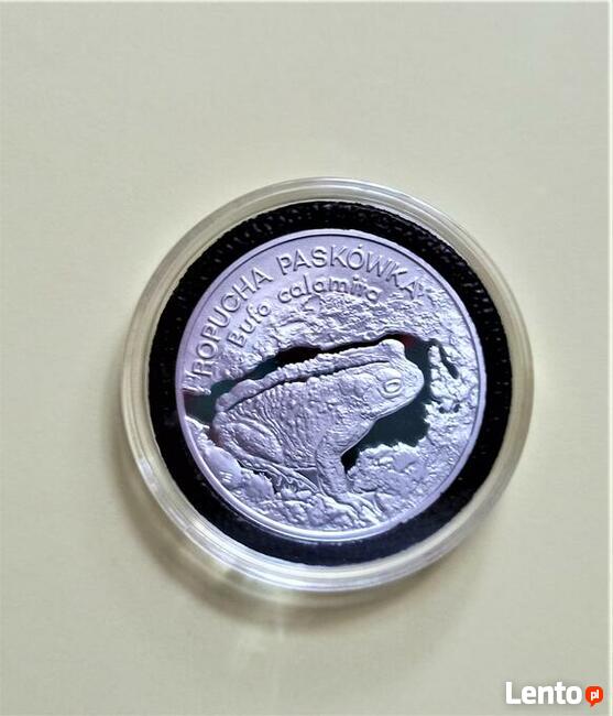 20 zł 1998 r. Ropucha Paskówka