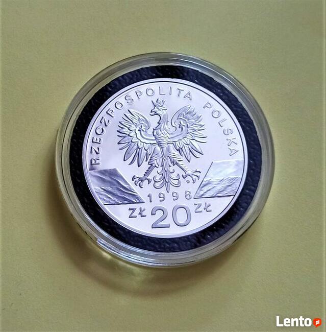 20 zł 1998 r. Ropucha Paskówka
