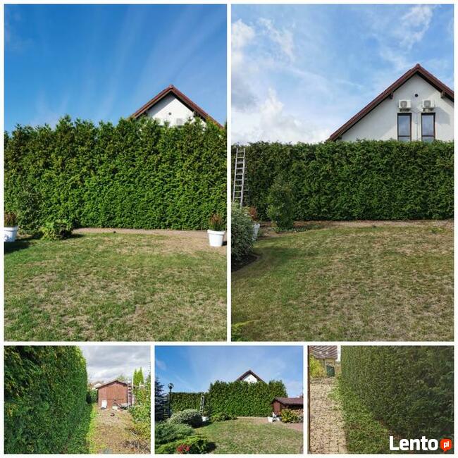 Prace Ogrodowe-Zakładanie Ogrodów Trawnikow