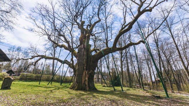 Pokoje Gościnne, noclegi,kwatery, szlaki,Targi