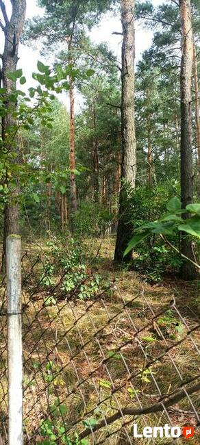 Działka leśna 4000m2 Sulejówek/Długa Szlachecka