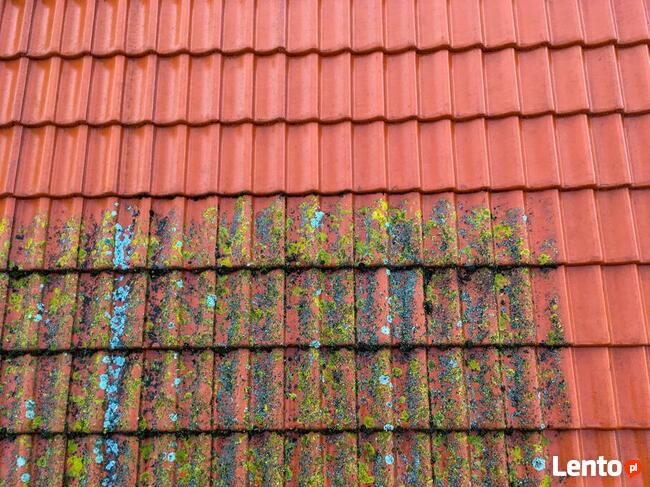 Podnośnik koszowy WYNAJEM Elbląg