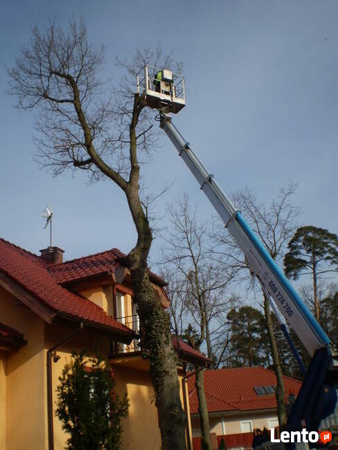 Podnośnik koszowy, zwyżka do 28 m, WYNAJEM