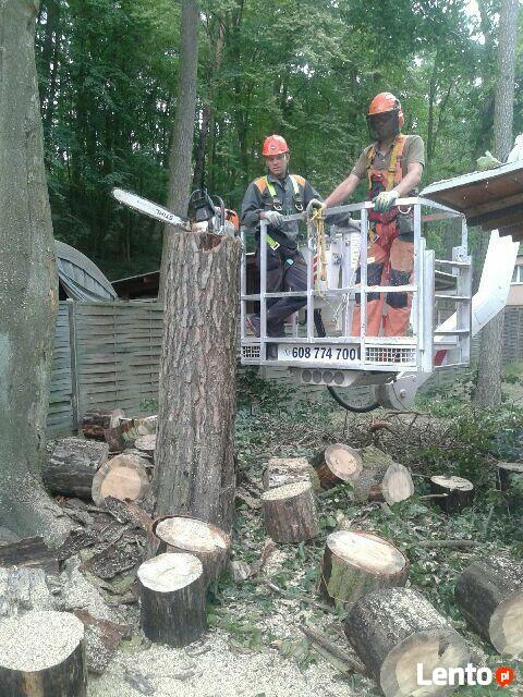 Podnośnik koszowy, zwyżka do 28 m, WYNAJEM