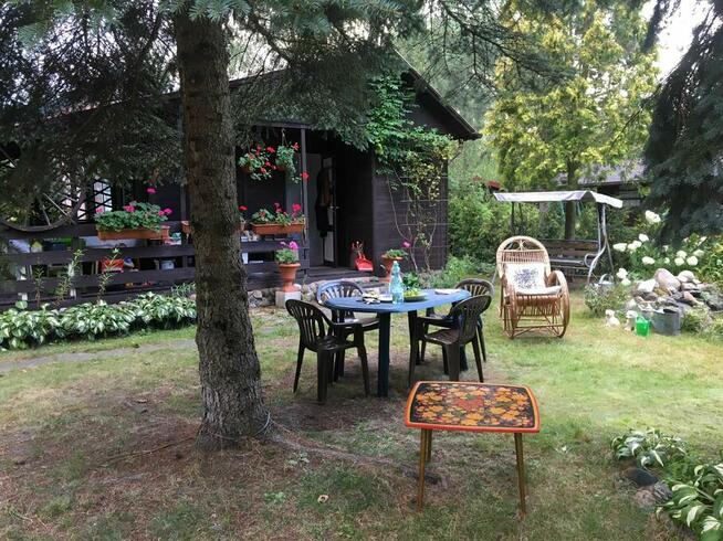 Działka ROD 600 m2 Nowy Prażmów