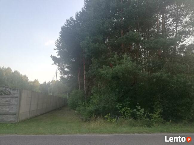 Radomsko Wygoda działka budowlano - rolna 3960 m z lasem