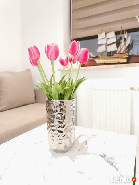 Apartament Morski Brzeg Gdynia Centrum noclegi kwatery