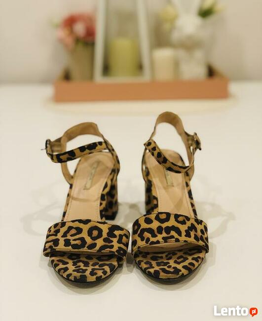 Chętnie wykonam zdjęcia na aukcje internetowe