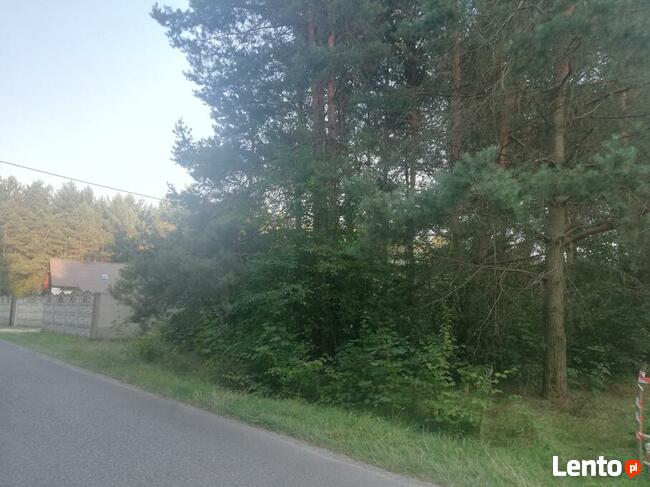 Radomsko Wygoda działka budowlano - rolna 3960 m z lasem