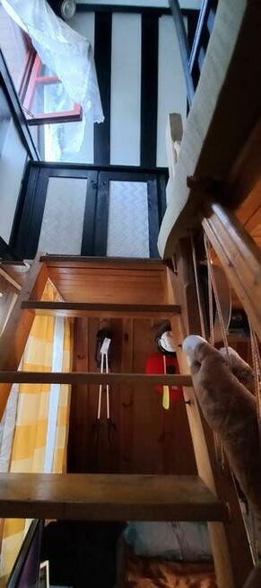 Sprzedam Działkę ROD Przypki k.Warszawy