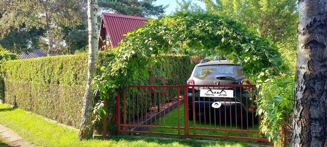 Sprzedam Działkę ROD Przypki k.Warszawy