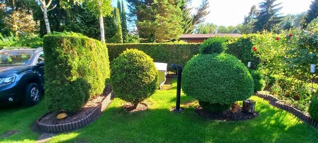 Sprzedam Działkę ROD Przypki k.Warszawy