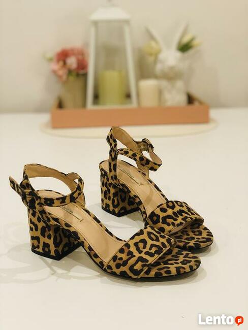 Chętnie wykonam zdjęcia na aukcje internetowe