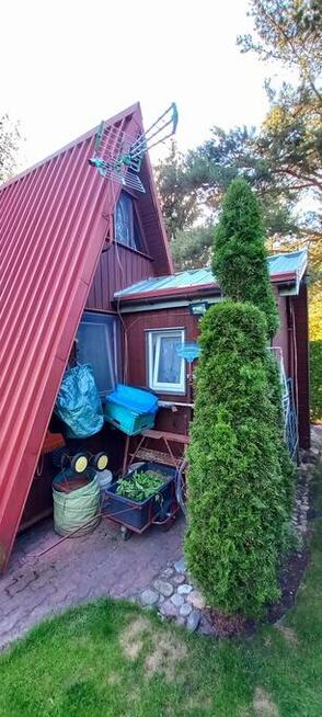 Sprzedam Działkę ROD Przypki k.Warszawy