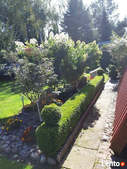 Sprzedam Działkę ROD Przypki k.Warszawy