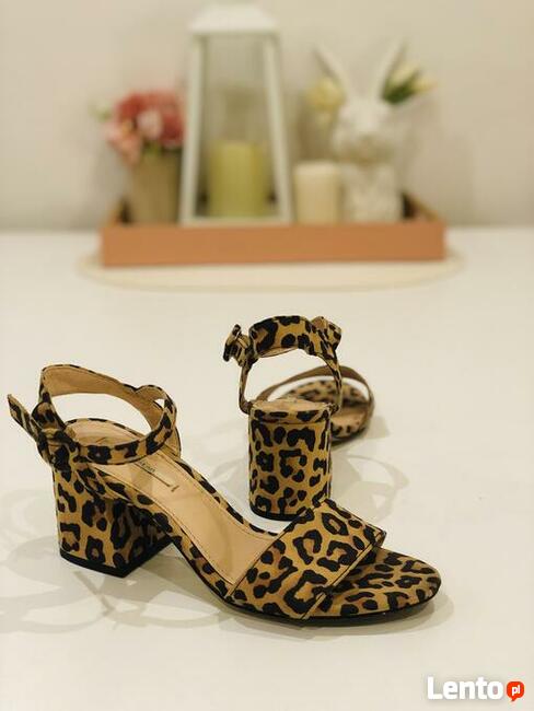 Chętnie wykonam zdjęcia na aukcje internetowe