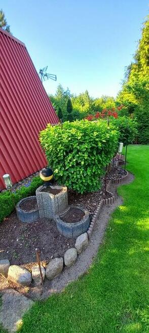 Sprzedam Działkę ROD Przypki k.Warszawy