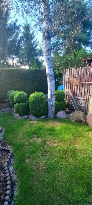 Sprzedam Działkę ROD Przypki k.Warszawy