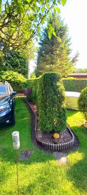 Sprzedam Działkę ROD Przypki k.Warszawy