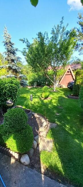 Sprzedam Działkę ROD Przypki k.Warszawy