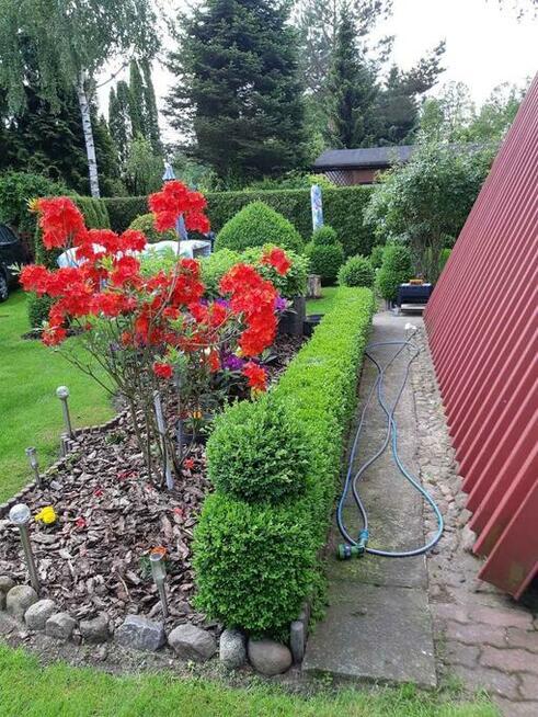 Sprzedam Działkę ROD Przypki k.Warszawy