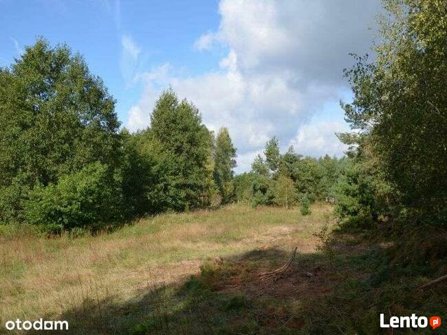 Działka blisko Gostynina z możliwością zabudowy