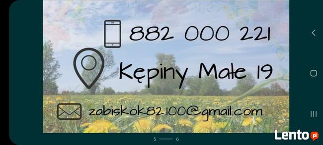 Noclegi agroturystyka pokoje żuławy kajaki bania sala wynaj