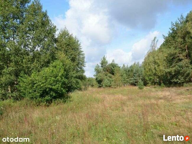 Działka blisko Gostynina z możliwością zabudowy