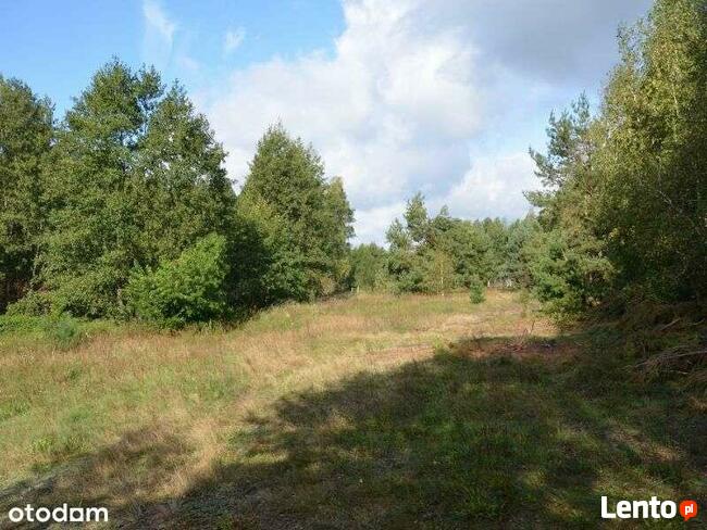 Działka blisko Gostynina z możliwością zabudowy