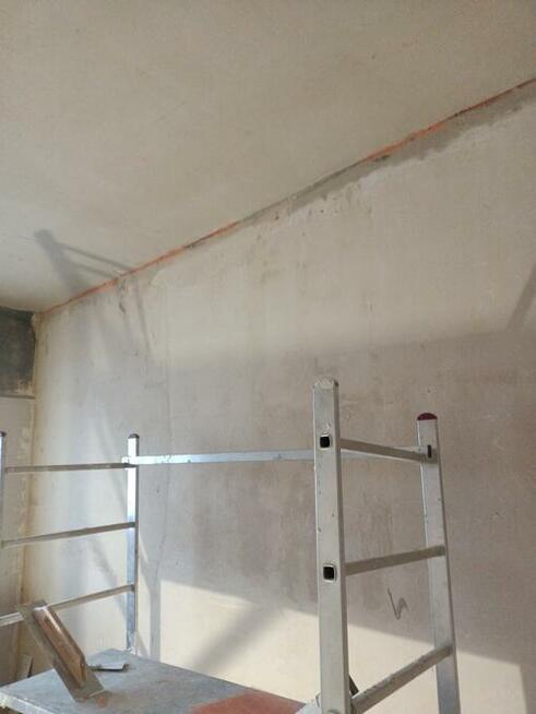 Wykonczenia poszukuje pracy