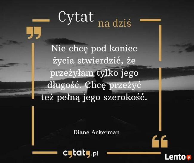 Poznam fajną kobietę :)