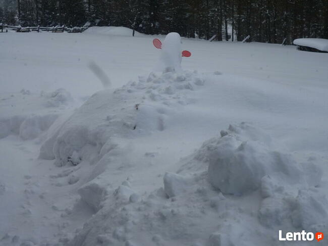 Ferie zimowe 2026 wolny termin