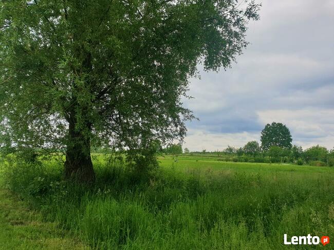 Pogranicze gm. Wiązowna; piękne działki budowlane