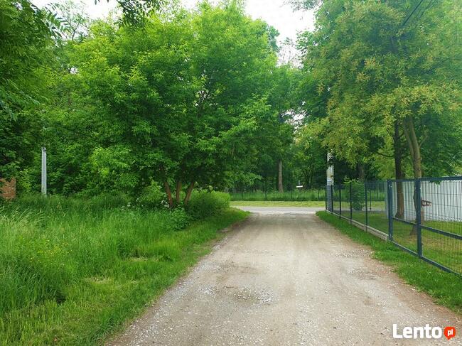 Pogranicze gm. Wiązowna; piękne działki budowlane