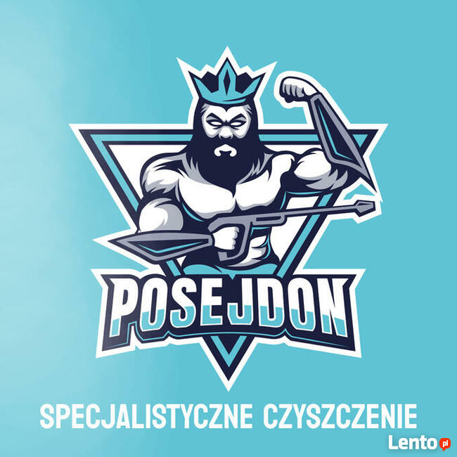 ŚREM - PRANIE CZYSZCZENIE TAPICERKI DYWANÓW WYKŁADZIN SKÓR