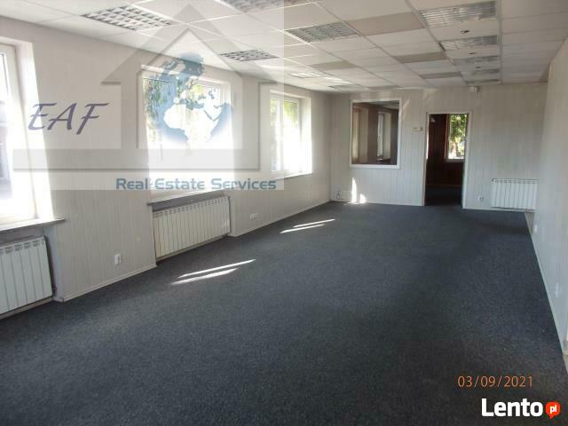 Lokal użytkowy Sękocin Nowy gm. Raszyn