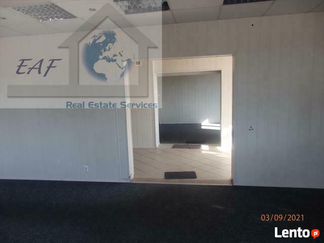 Lokal użytkowy Sękocin Nowy gm. Raszyn