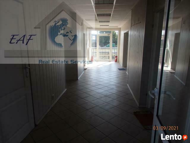 Lokal użytkowy Sękocin Nowy gm. Raszyn