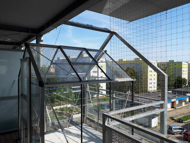 Sprzątanie po gołębiach, czyszczenie ptasich odchodów