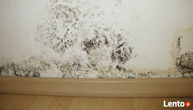 Osuszanie ścian budynku, likwidacja wykwitów wilgoci Lublin