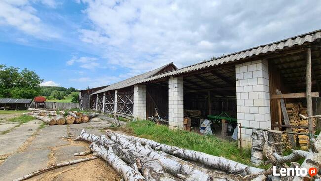 Gospodarstwo - Huta Dzierążyńska - Magazyny 600m2