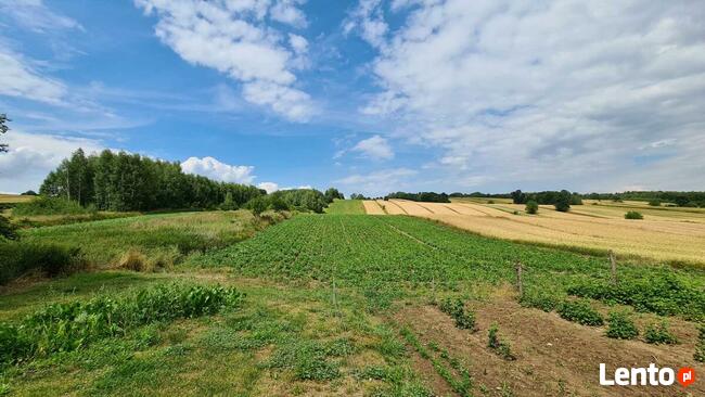 Gospodarstwo - Huta Dzierążyńska - Magazyny 600m2