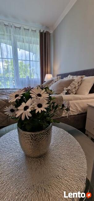 Apartamenty na wynajem