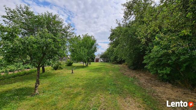 Gospodarstwo - Huta Dzierążyńska - Magazyny 600m2