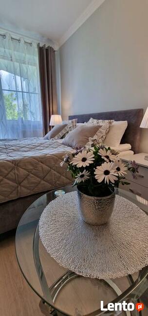 Apartamenty na wynajem