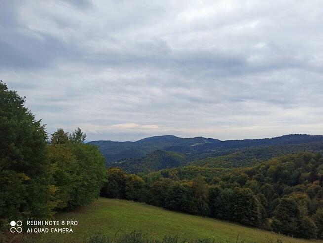 Zachowaj w pamięci cudowne chwile, lecz nie bój się nowych!