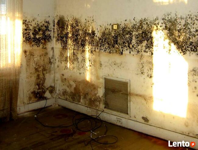 Osuszanie ścian budynku, likwidacja wykwitów wilgoci Lublin