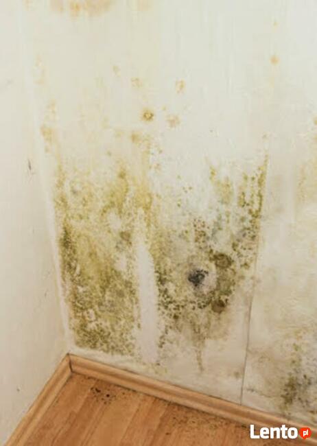 Osuszanie ścian budynku, likwidacja wykwitów wilgoci Lublin