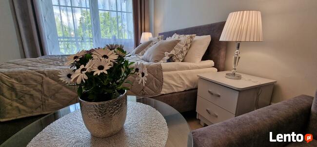 Apartamenty na wynajem