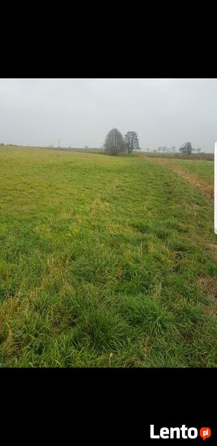 Ziemia rolna łąka 0.45 h Ostroròg powiat Szamotuły Ziemia